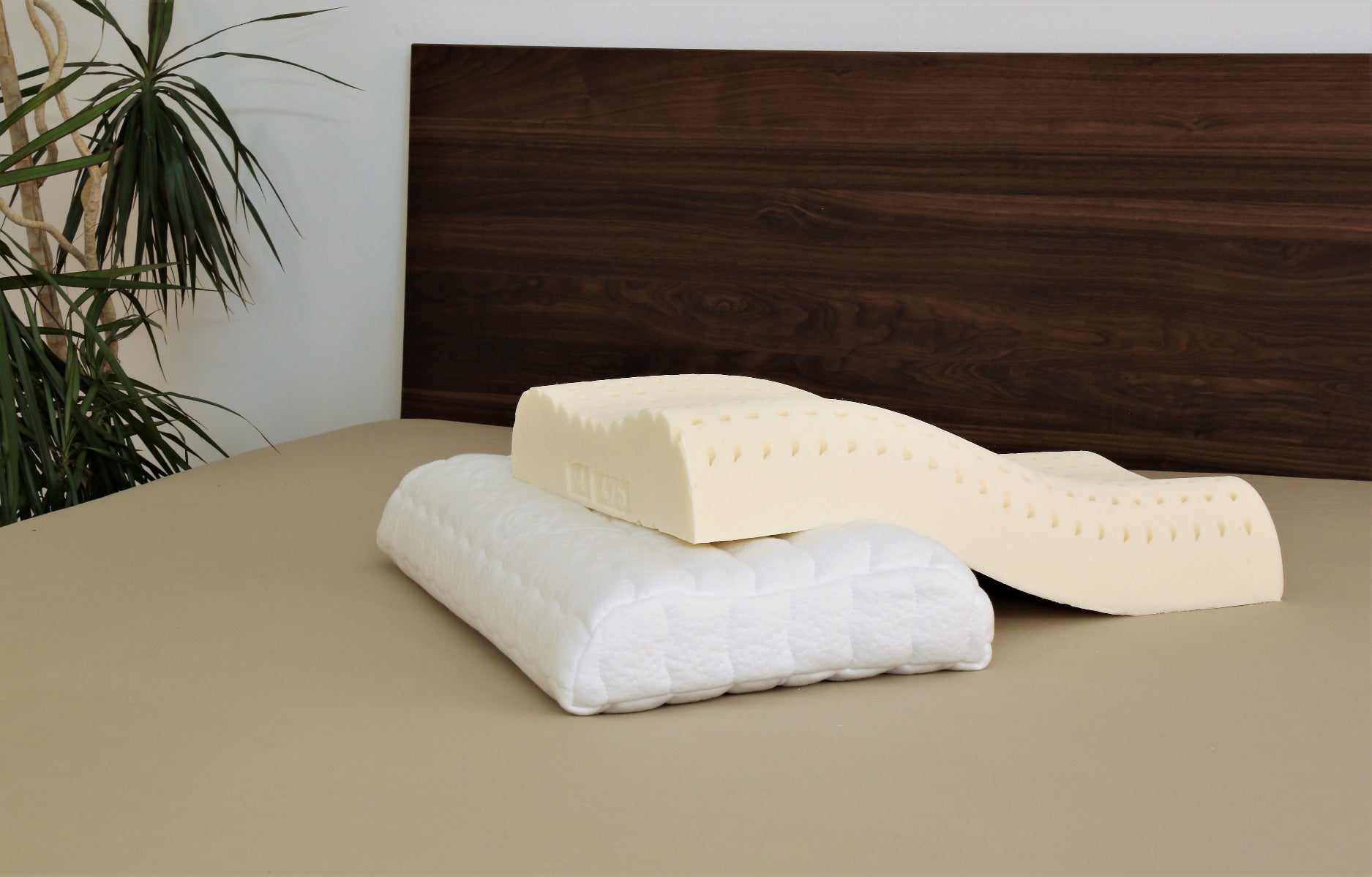 Bio-Form Kissen mit und ohne Bezug